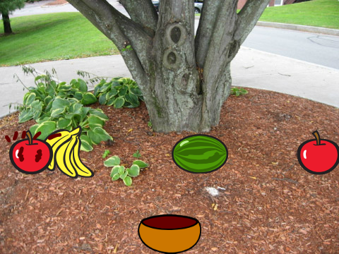 catch the fruit